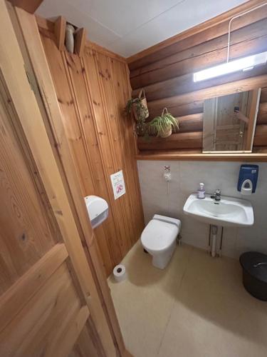 a bathroom with a toilet and a sink at Knutehytta in Kongsberg