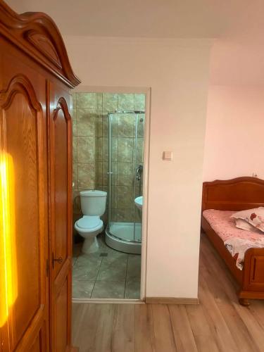 a bathroom with a shower and a toilet and a tub at Pensiunea Selena Bascov-Pitesti in Bascov