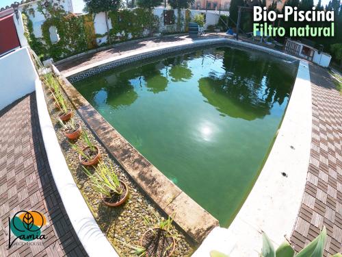 an overhead view of a pool of water with plants at Chalets en Sancti Petri in Novo Sancti Petri