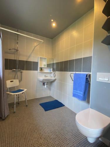 a bathroom with a toilet and a sink at Gite Ô pré in Beaubec-la-Rosière