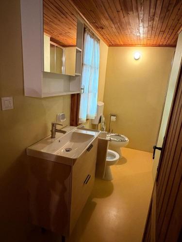 a bathroom with a sink and a toilet at Baita immersa nel verde in Salabertano