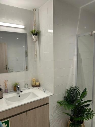 Atlantic Pearl Beach Apartment