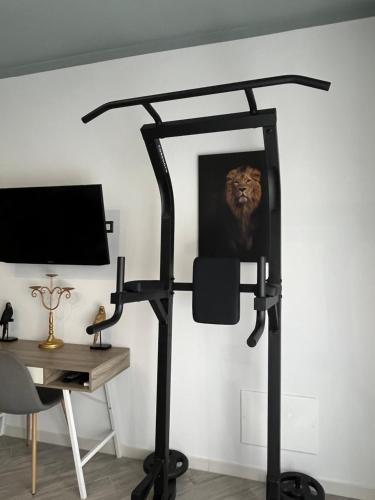 a television stand with a lion in a mirror at La Base Fitness House in Decimomannu