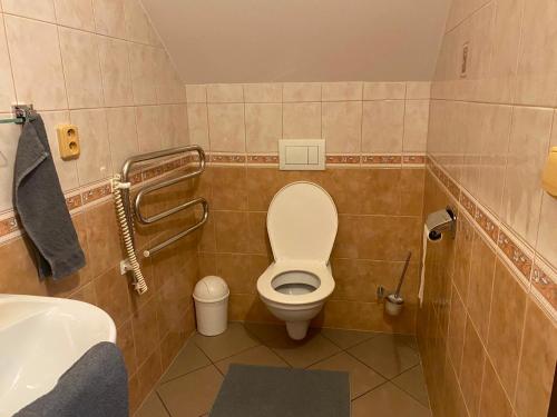 a small bathroom with a toilet and a sink at Penzion Kolovna in Dobrá
