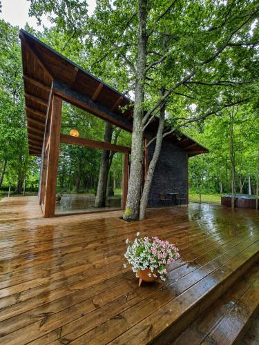 a wooden deck with a tree and a pot of flowers at DEIVID house for rent in Skulte