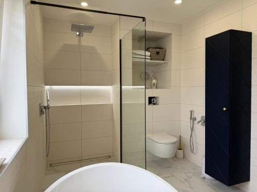 a bathroom with a toilet and a glass shower at Lumy Housing in Pärnu