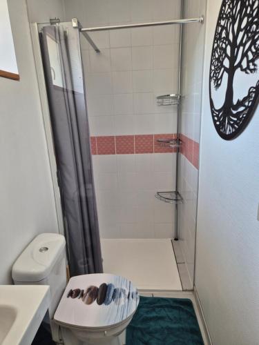a small bathroom with a shower and a toilet at Gite independant Chateau-Renault Centre in Château-Renault