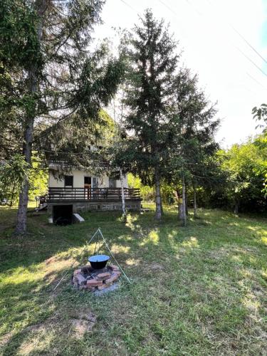 a fire pit in the grass in front of a house at Kuća Sarić, Gružansko jezero in Žune