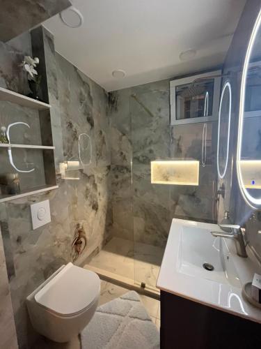 a bathroom with a shower and a toilet and a sink at Melanie- City Centre Apartment in Herceg-Novi