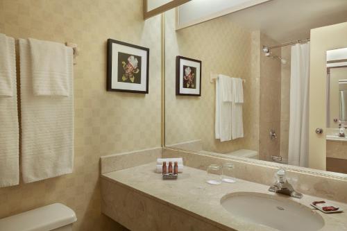 baño con lavabo y espejo grande en Hotel Halifax en Halifax