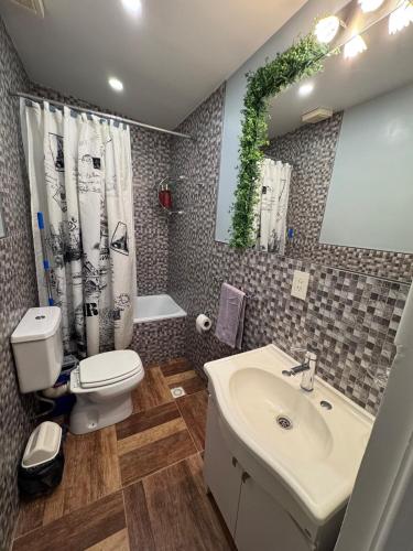 a bathroom with a white sink and a toilet at Hermoso Departamento - Centro in Río Grande