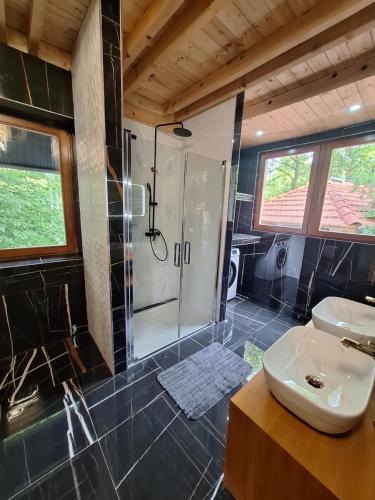 a bathroom with a shower and a toilet and a sink at Kuća za odmor - Villa Magdalena in Otočac