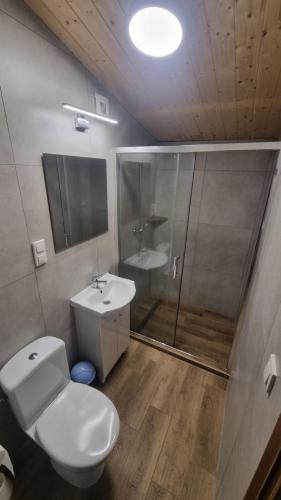 a bathroom with a toilet and a shower and a sink at Domki u Wiki in Niechorze