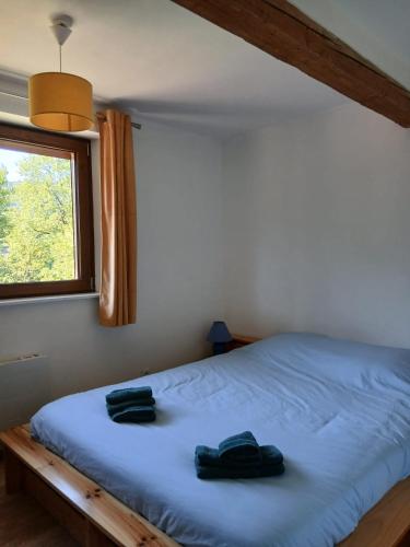 a bedroom with a bed with blue sheets and a window at La maison bleue-Urbès in Urbès