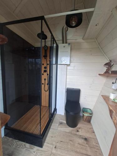 a bathroom with a toilet in a room at Czarci Zakątek in Pozezdrze