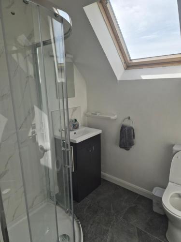 a bathroom with a shower and a toilet with a skylight at 18 Ballybunion Holiday Cottages in Ballybunion