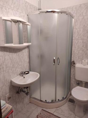 a bathroom with a shower and a sink and a toilet at Apartments Vera in Ližnjan