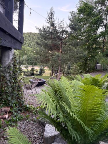 a garden with two benches and a plant at Mucharskie Stodoły Stodoła I - Garden Spa in Jaszczurowa