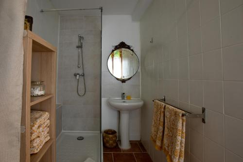 a bathroom with a shower and a sink and a mirror at Le Grand Gîte in Vaison-la-Romaine