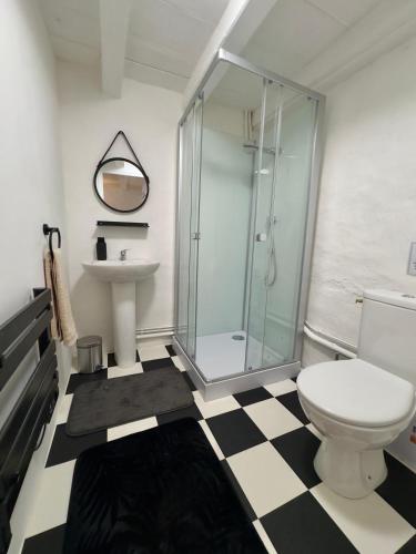 a bathroom with a shower and a toilet and a sink at La Maison de Lyon in Saint-Laurent-de-Céris