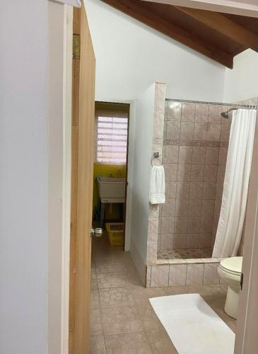 a bathroom with a shower and a toilet and a sink at Good Times in Gingerland