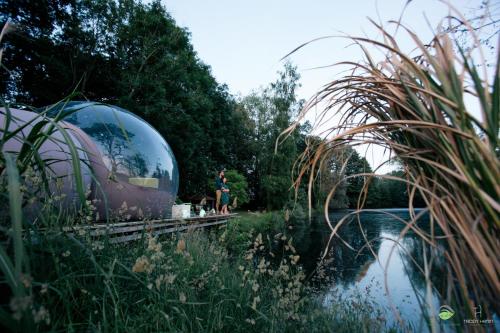 a person standing in front of a mirror near a pond at La Bulle au bord de l'eau in Épagne-Épagnette