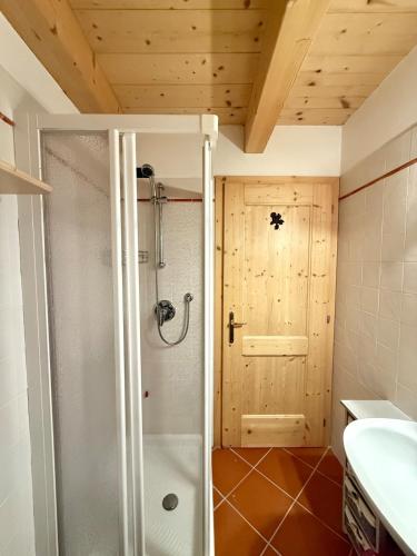 a bathroom with a shower and a sink at Villetta Ximenes in Panchià