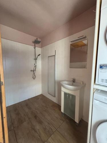 a small bathroom with a sink and a shower at Neubeginn 2 - Zimmer B in Hildburghausen