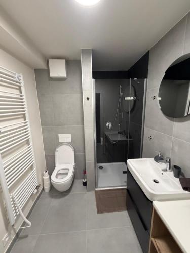 a bathroom with a toilet and a sink at AVA apartmán Javorná na Šumavě in Čachrov
