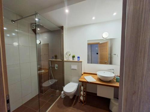 a bathroom with a toilet and a sink and a shower at Villa Cascada in Podgora