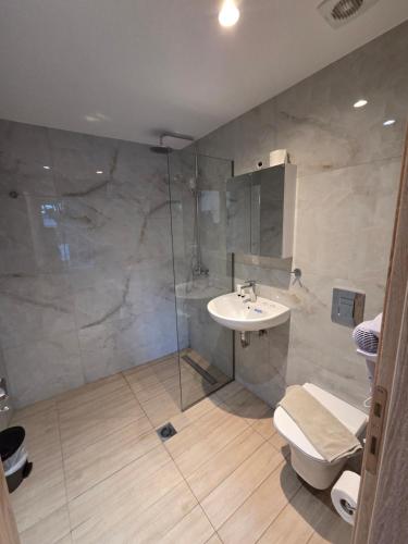 a bathroom with a shower and a toilet and a sink at Vasiliki Apts in Vasiliki