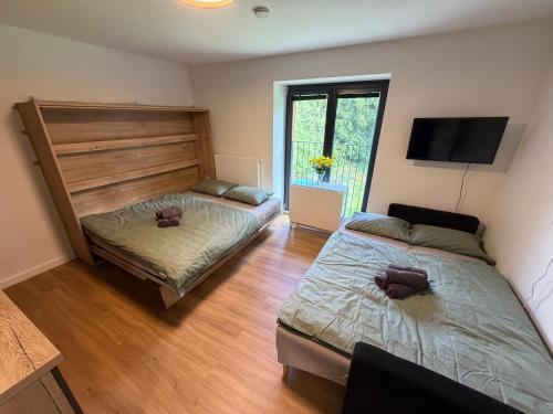 a bedroom with two beds and a flat screen tv at AVA apartmán Javorná na Šumavě in Čachrov