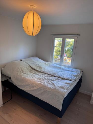 a bedroom with a bed and a window at The Copenhagen Retreat in Hvidovre