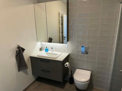 ein Badezimmer mit Waschbecken, Toilette und Spiegel in der Unterkunft Dalsbraut in Njarðvík