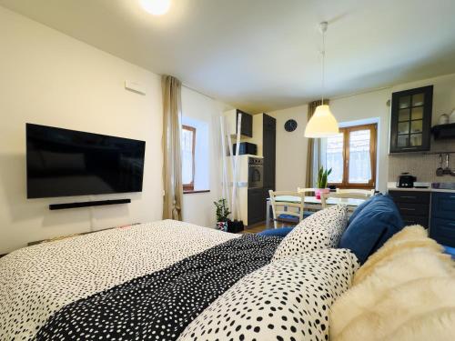 a living room with a bed and a flat screen tv at Casa del Torchio in Giovo
