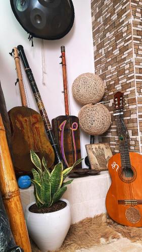a bunch of guitars hanging on a wall with a plant at Dar D'Art in Tunis