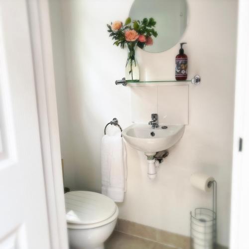 a bathroom with a toilet and a sink and a mirror at River Cabin Retreat in Shepperton