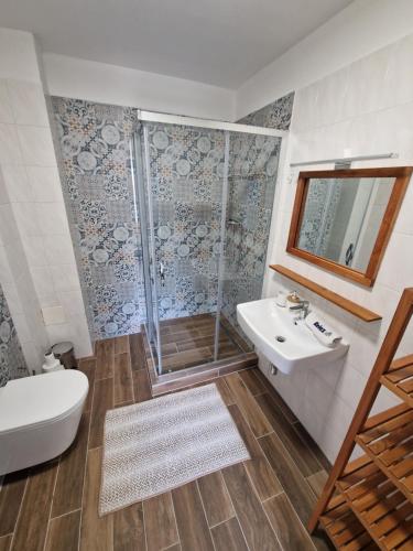 a bathroom with a shower and a toilet and a sink at Pension MAX in Pernink