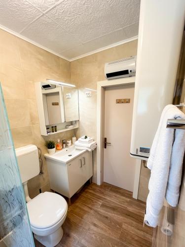 a small bathroom with a toilet and a sink at House Flajs - secluded 2BR Surrounded by Forest in Soča