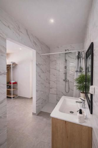 a bathroom with a sink and a shower at La Kaz Sumac in Saint-Pierre