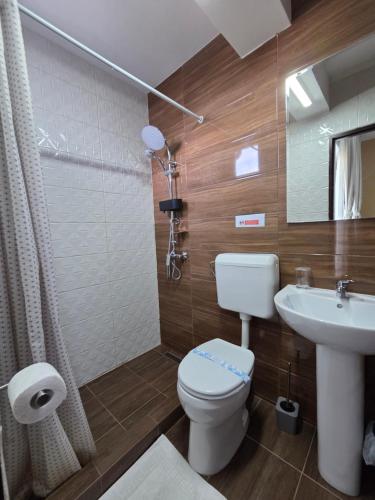 a bathroom with a toilet and a sink at Casa Izabela in Năvodari