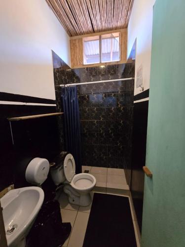 a bathroom with a toilet and a shower and a sink at Boca Estrella in Bocas Town