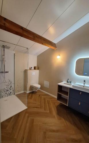 a bathroom with a toilet and a sink and a mirror at Les Gites de la Bastide in Ribes