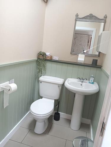a bathroom with a toilet and a sink at Lucker mill shepherds huts in Lucker