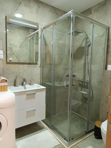 a glass shower in a bathroom with a sink at Apartman Vida in Novi Pazar