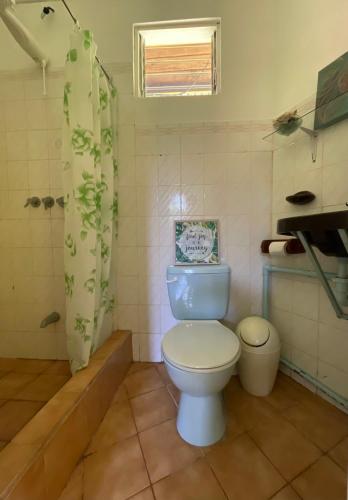 a bathroom with a toilet and a shower at Colibri Paradise in Cahuita