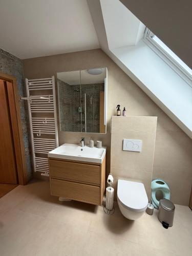 a bathroom with a toilet and a sink and a mirror at Apartmány u čalouníků in Litomyšl
