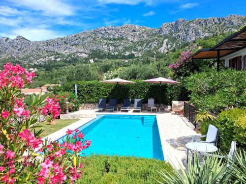 a pool with chairs and umbrellas and flowers at Villa Casa Belvedere near Dubrovnik in Gruda