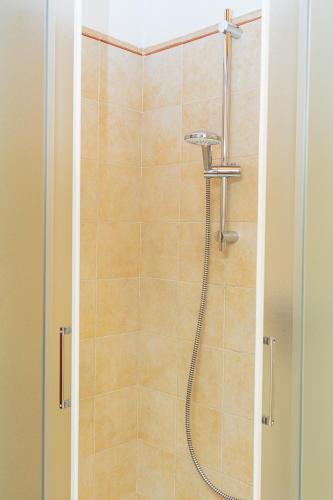 a shower with a glass door in a bathroom at Gomes Comfort House Borghetto in Valeggio sul Mincio