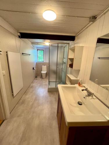 a bathroom with a sink and a shower and a toilet at Ferienwohnung Runeholm in Fjälster
